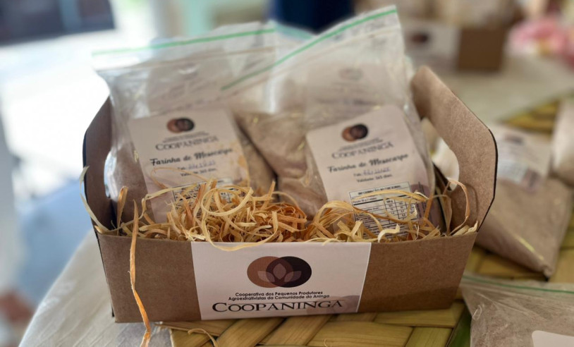 ASN Amazonas - Agência Sebrae de Notícias