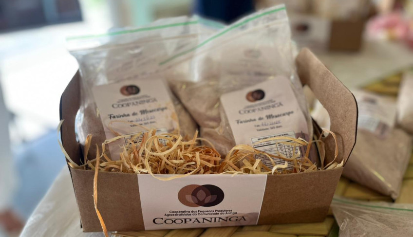 ASN Amazonas - Agência Sebrae de Notícias