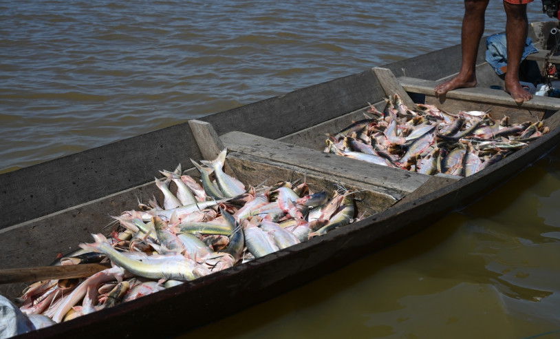ASN Amazonas - Agência Sebrae de Notícias
