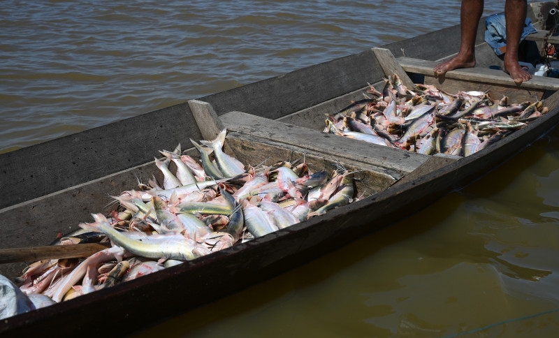 ASN Amazonas - Agência Sebrae de Notícias