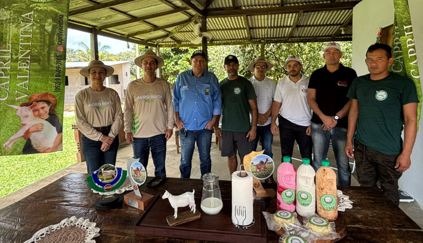 ASN Amazonas - Agência Sebrae de Notícias