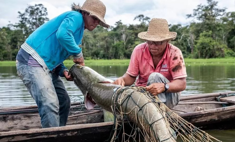 ASN Amazonas - Agência Sebrae de Notícias