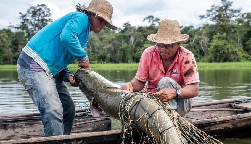 ASN Amazonas - Agência Sebrae de Notícias