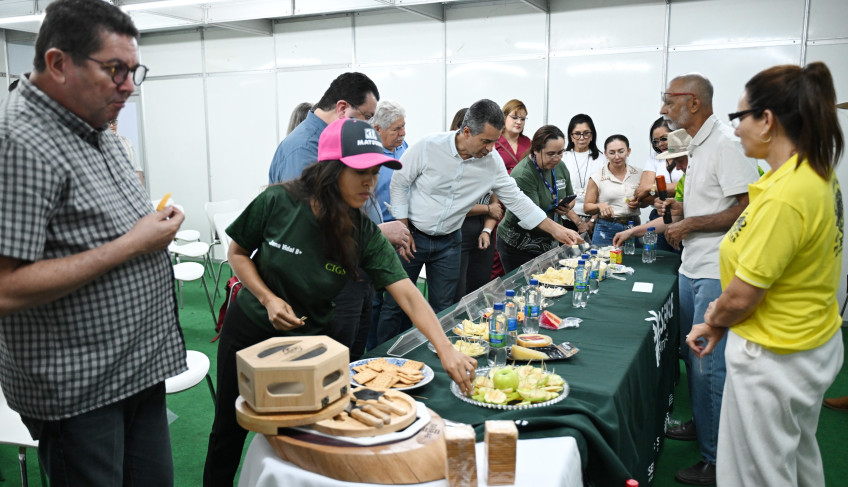 ASN Amazonas - Agência Sebrae de Notícias